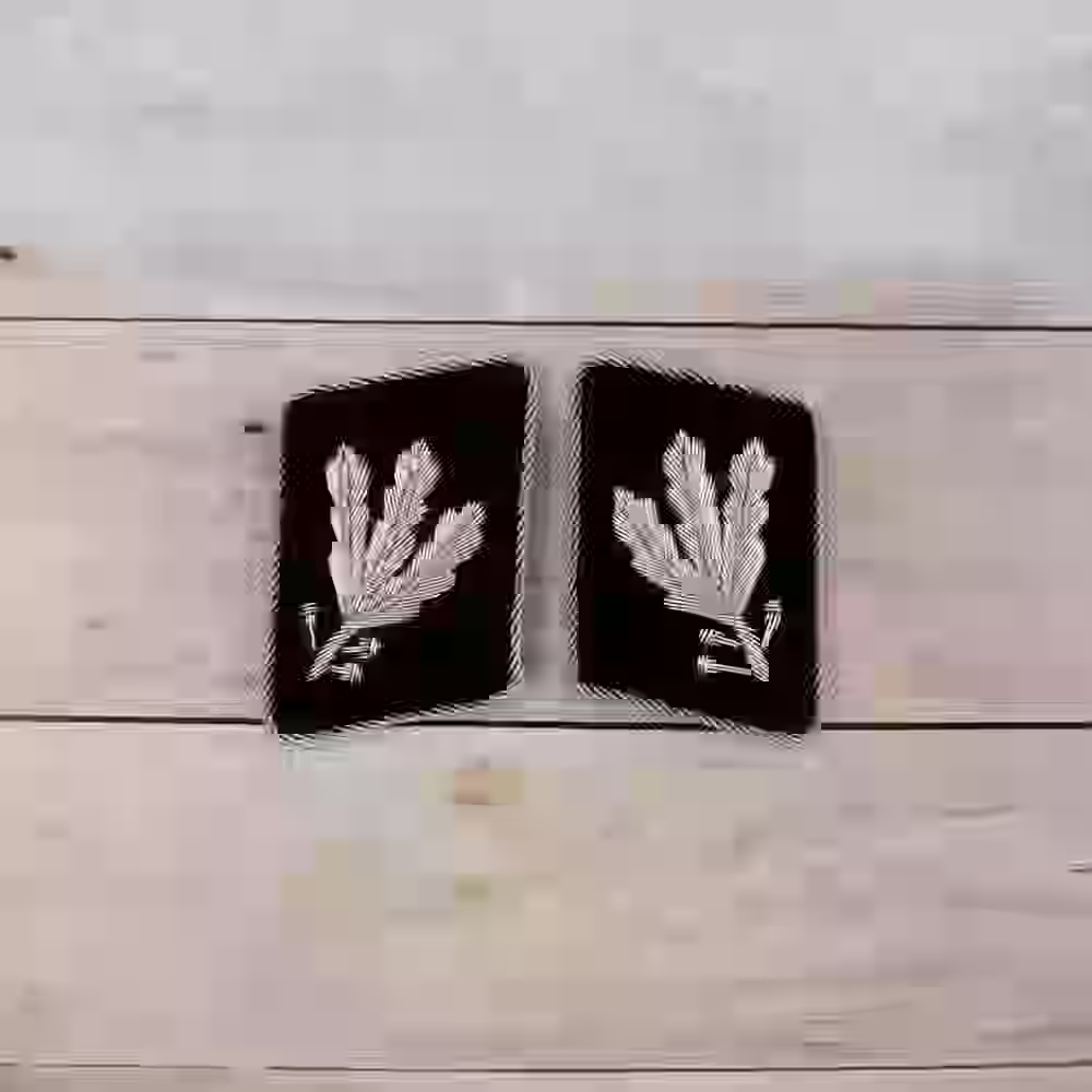 Waffen SS Gruppenführer Aluminum Wire Collar Patches - WWII-era Waffen-SS Gruppenführer collar patches with hand-embroidered aluminum wire and piping.